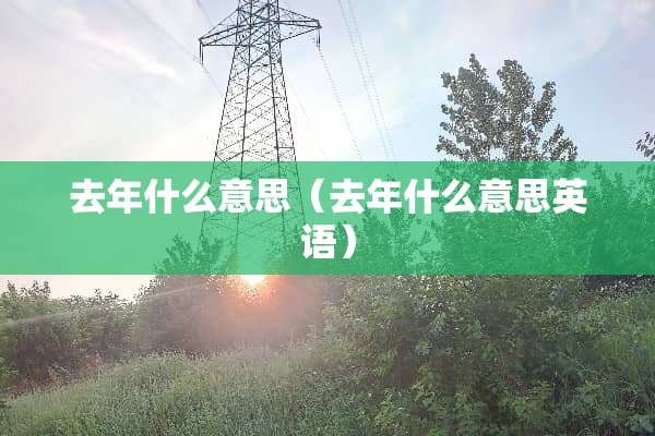 去年什么意思（去年什么意思英语）