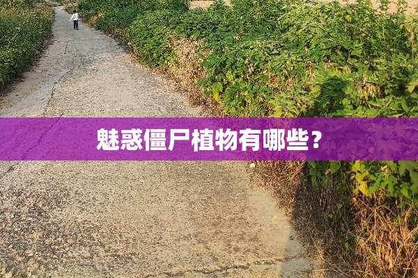 魅惑僵尸植物有哪些？