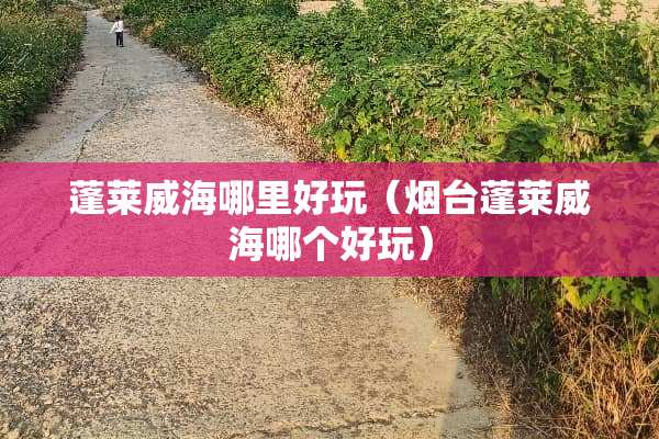 蓬莱威海哪里好玩（烟台蓬莱威海哪个好玩）
