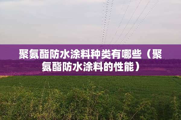 聚氨酯防水涂料种类有哪些（聚氨酯防水涂料的性能）
