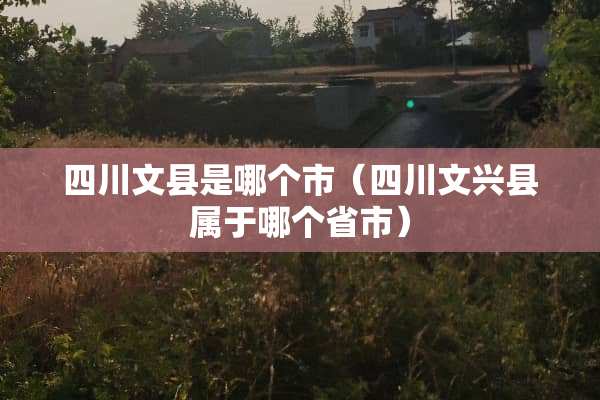 四川文县是哪个市（四川文兴县属于哪个省市）
