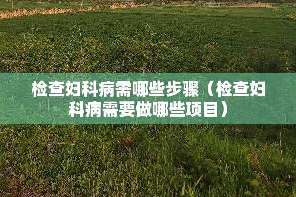 检查妇科病需哪些步骤（检查妇科病需要做哪些项目）