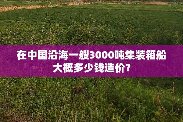 在中国沿海一艘3000吨集装箱船大概多少钱造价？