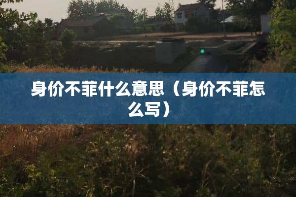 身价不菲什么意思（身价不菲怎么写）