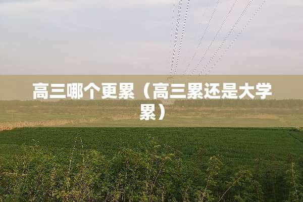 高三哪个更累（高三累还是大学累）