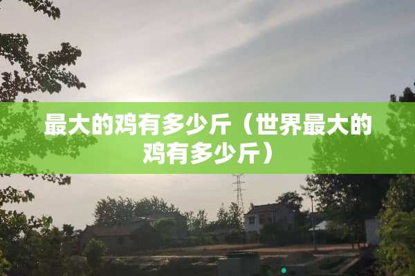 最大的鸡有多少斤（世界最大的鸡有多少斤）