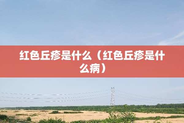 红色丘疹是什么（红色丘疹是什么病）