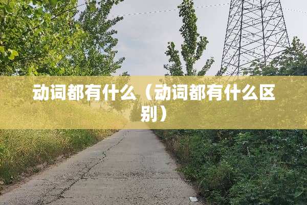 动词都有什么（动词都有什么区别）