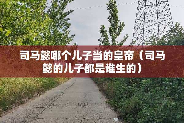 司马懿哪个儿子当的皇帝（司马懿的儿子都是谁生的）
