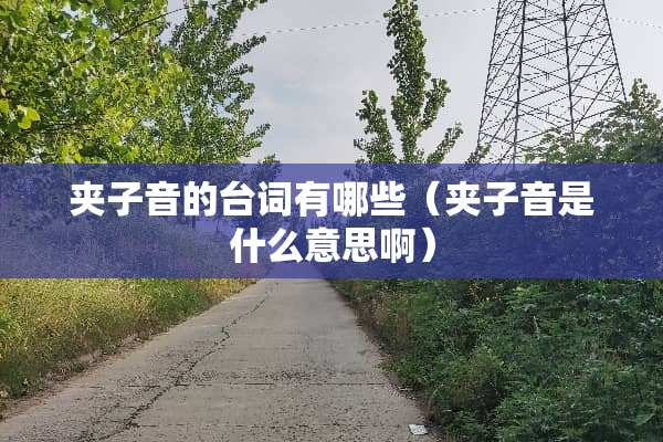 夹子音的台词有哪些（夹子音是什么意思啊）