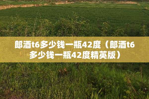 郎酒t6多少钱一瓶42度（郎酒t6多少钱一瓶42度精英版）