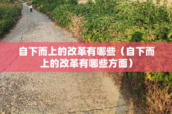 自下而上的改革有哪些（自下而上的改革有哪些方面）