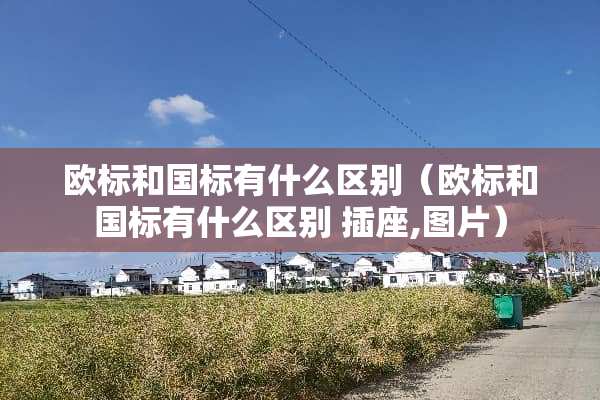 欧标和国标有什么区别（欧标和国标有什么区别 插座,图片）