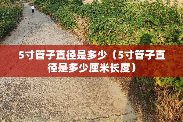 5寸管子直径是多少（5寸管子直径是多少厘米长度）
