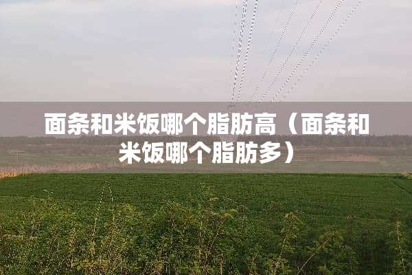 面条和米饭哪个脂肪高（面条和米饭哪个脂肪多）