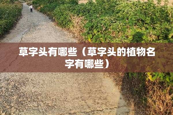草字头有哪些（草字头的植物名字有哪些）