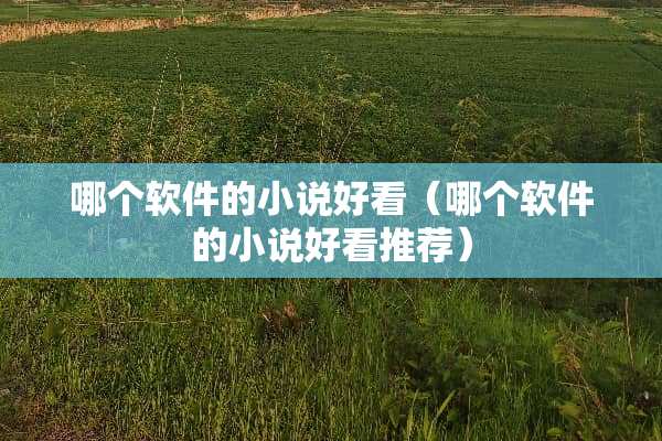 哪个软件的小说好看（哪个软件的小说好看推荐）