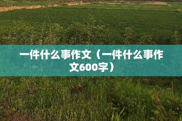 一件什么事作文（一件什么事作文600字）