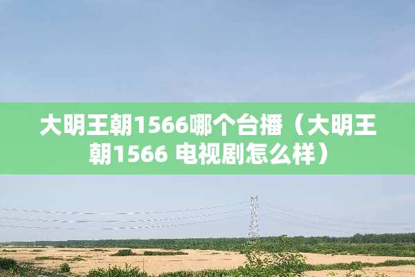 大明王朝1566哪个台播（大明王朝1566 电视剧怎么样）