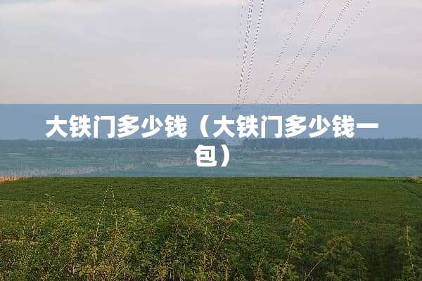大铁门多少钱（大铁门多少钱一包）