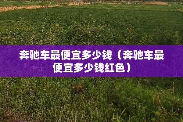 奔驰车最便宜多少钱（奔驰车最便宜多少钱红色）