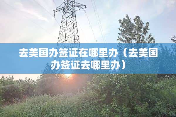 去美国办签证在哪里办（去美国办签证去哪里办）