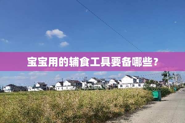 宝宝用的辅食工具要备哪些？