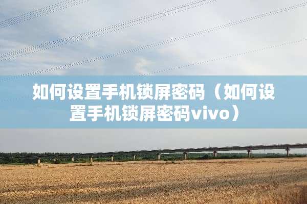 如何设置手机锁屏密码（如何设置手机锁屏密码vivo）