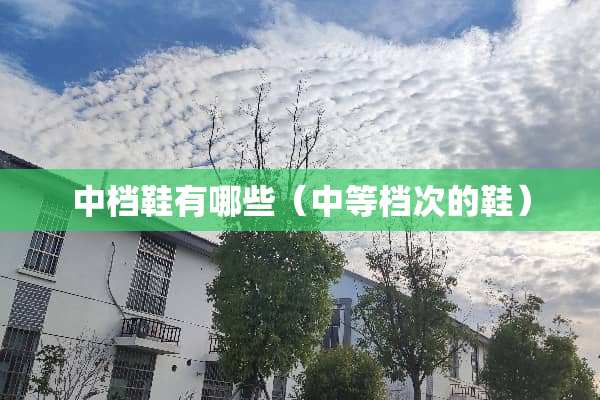 中档鞋有哪些（中等档次的鞋）