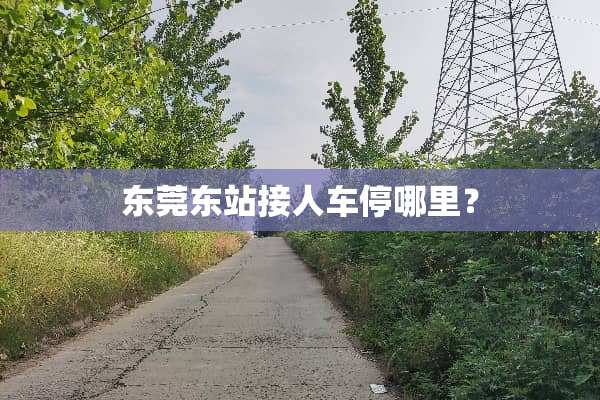 东莞东站接人车停哪里？