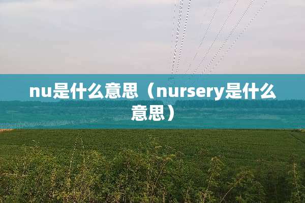 nu是什么意思（nursery是什么意思）