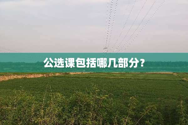 公选课包括哪几部分？