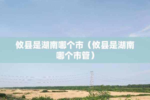 攸县是湖南哪个市（攸县是湖南哪个市管）