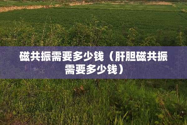 磁共振需要多少钱（肝胆磁共振需要多少钱）