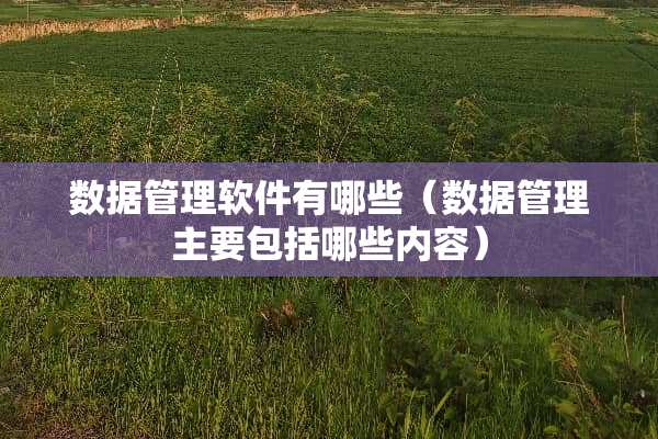 数据管理软件有哪些（数据管理主要包括哪些内容）