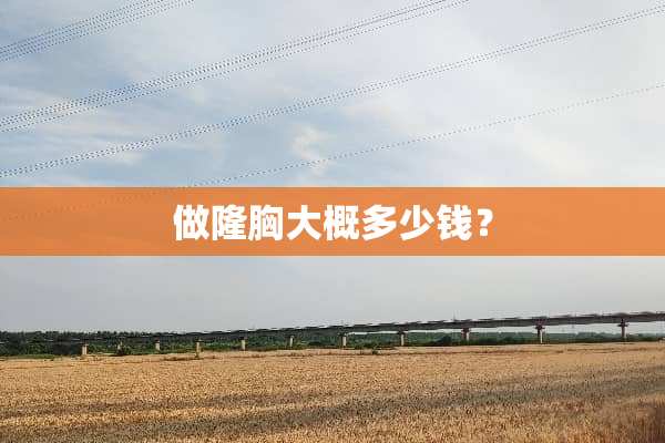 做隆胸大概多少钱？