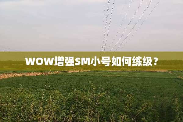 WOW增强SM小号如何练级？