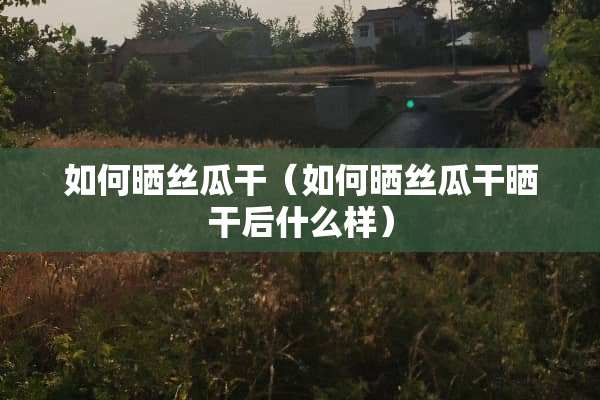 如何晒丝瓜干（如何晒丝瓜干晒干后什么样）