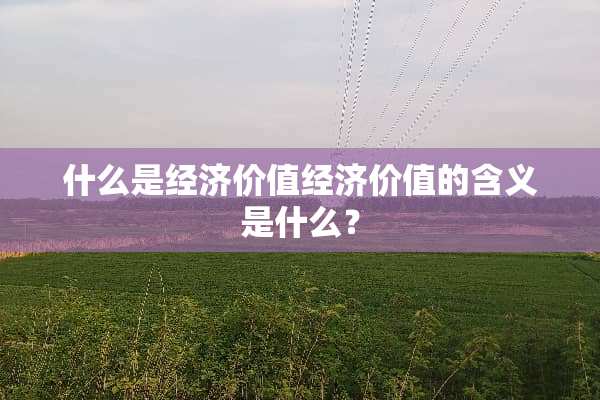 什么是经济价值经济价值的含义是什么？