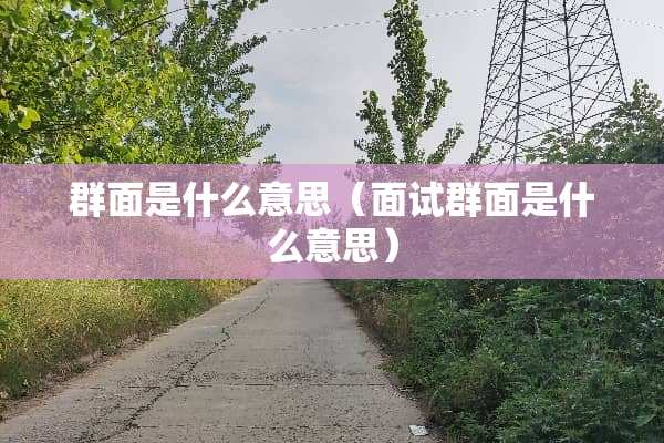 群面是什么意思（面试群面是什么意思）