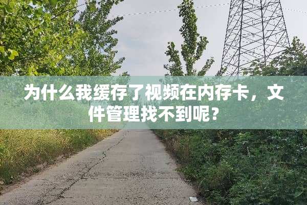 为什么我缓存了视频在内存卡，文件管理找不到呢？