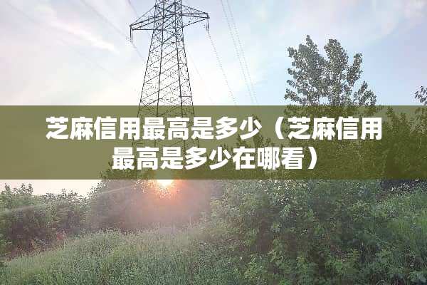 芝麻信用最高是多少（芝麻信用最高是多少在哪看）