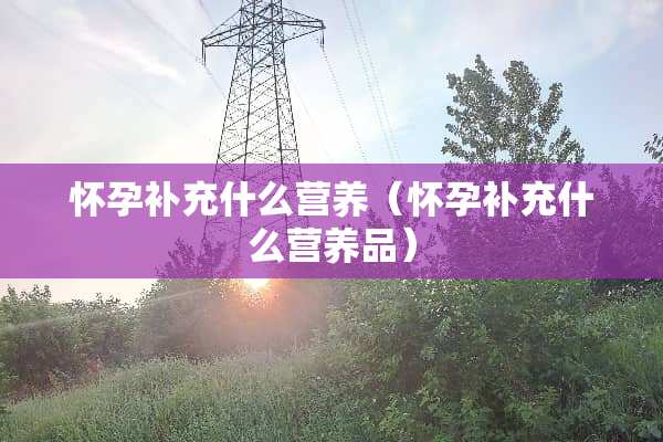 怀孕补充什么营养（怀孕补充什么营养品）