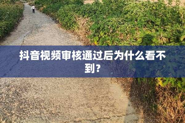 抖音视频审核通过后为什么看不到？
