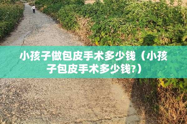 小孩子做包皮手术多少钱（小孩子包皮手术多少钱?）
