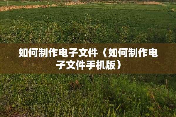 如何制作电子文件（如何制作电子文件手机版）