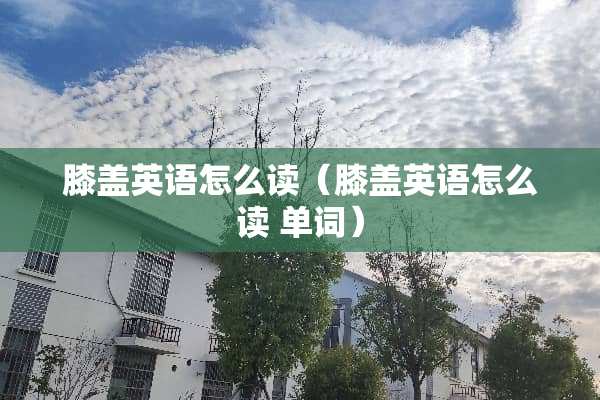 膝盖英语怎么读（膝盖英语怎么读 单词）