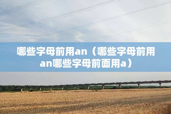 哪些字母前用an（哪些字母前用an哪些字母前面用a）