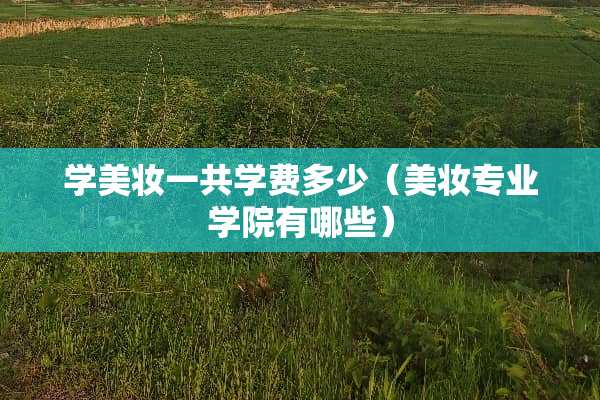 学美妆一共学费多少（美妆专业学院有哪些）