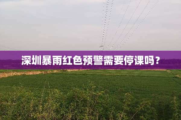 深圳暴雨红色预警需要停课吗？